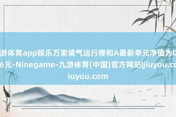 九游体育app娱乐万家境气运行搀和A最新单元净值为0.7896元-Ninegame-九游体育(中国)官方网站|jiuyou.com