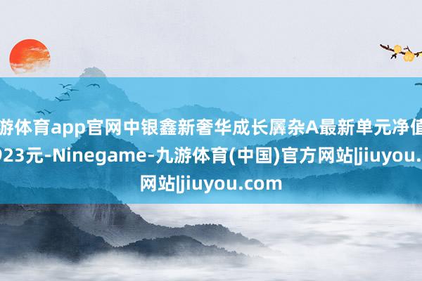九游体育app官网中银鑫新奢华成长羼杂A最新单元净值为0.8923元-Ninegame-九游体育(中国)官方网站|jiuyou.com
