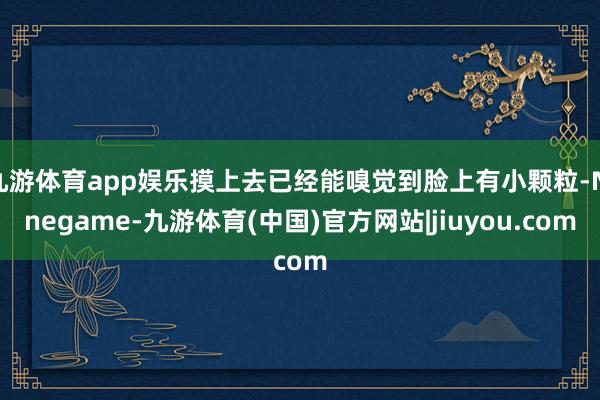 九游体育app娱乐摸上去已经能嗅觉到脸上有小颗粒-Ninegame-九游体育(中国)官方网站|jiuyou.com