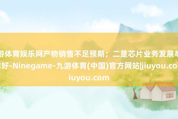 九游体育娱乐网产物销售不足预期;二是芯片业务发展举座向好-Ninegame-九游体育(中国)官方网站|jiuyou.com