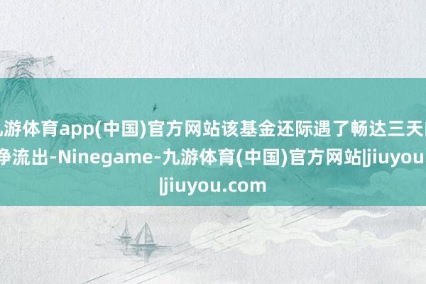 九游体育app(中国)官方网站该基金还际遇了畅达三天的资金净流出-Ninegame-九游体育(中国)官方网站|jiuyou.com