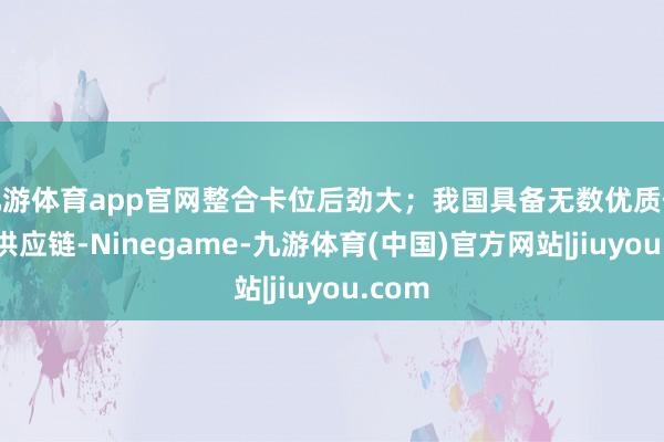 九游体育app官网整合卡位后劲大；我国具备无数优质低成本供应链-Ninegame-九游体育(中国)官方网站|jiuyou.com