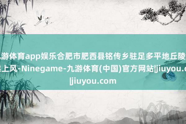九游体育app娱乐合肥市肥西县铭传乡驻足多平地丘陵的当然上风-Ninegame-九游体育(中国)官方网站|jiuyou.com