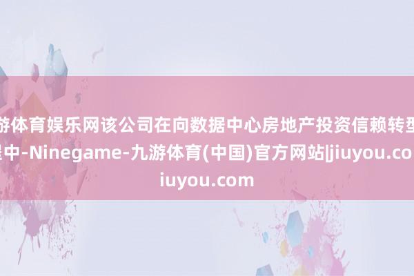 九游体育娱乐网该公司在向数据中心房地产投资信赖转型历程中-Ninegame-九游体育(中国)官方网站|jiuyou.com